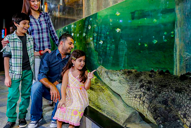 Dubai underwater Zoo