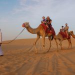 right Desert Tour Company Dubai