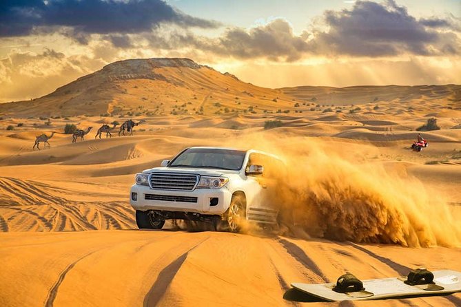 Dubai Desert Adventure and Dune Bashing Tour